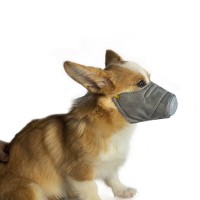 Pets PM2.5 Filter Anti Dust Gas Pollution Dog Muzzle