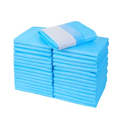 Disposable Comfortable Training Pad for Pet Pee Absorbent Magic Pet Dog Pee Pad